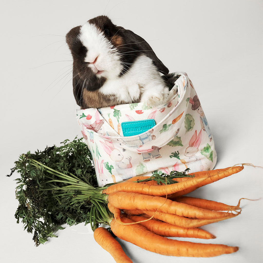 POSHPEANUT2025-PP-BG010-CNB-LIFESTYLE-1