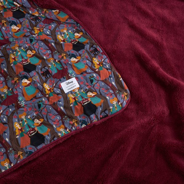 Disney Hocus Pocus Luxe Plush Patoo® Blanket