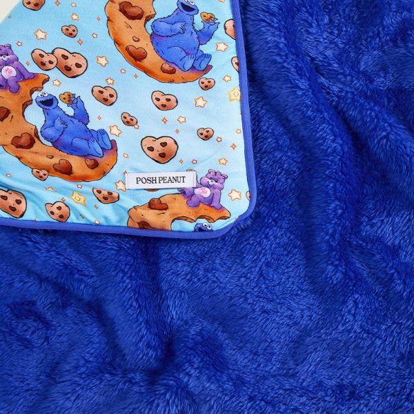 Care Bears™ Share Bear & Cookie Monster Plush Security Blanket