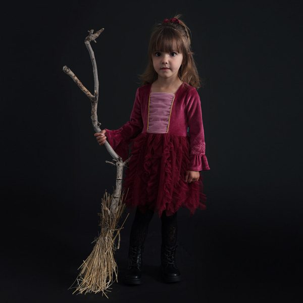 Disney Hocus Pocus Sarah Velour Tulle Dress