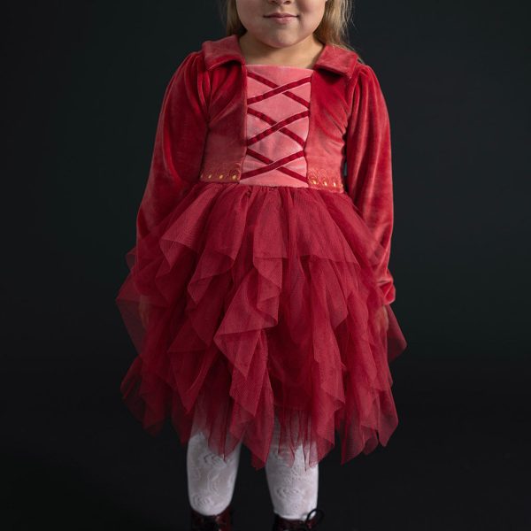 Disney Hocus Pocus Mary Velour Tulle Dress