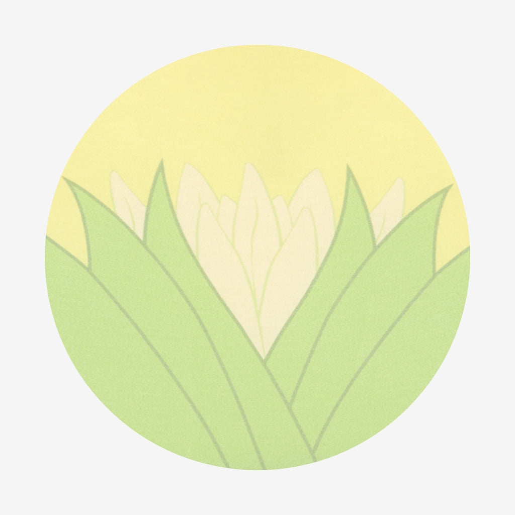 Tiana2024_64c70640-f5ce-4fcc-a58a-c8afe2086c5f